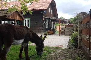 Sportovní klub Skalický dvůr SKSD image