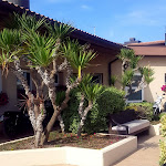 Photo n°2 de l'avis de Elena. fait le 05/06/2022 à 17:35 sur le  Granso Stanco à Chioggia