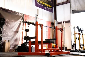 Texas Strength Systems-Houston image
