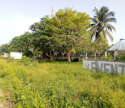 Tahiti Garden Hotel photo