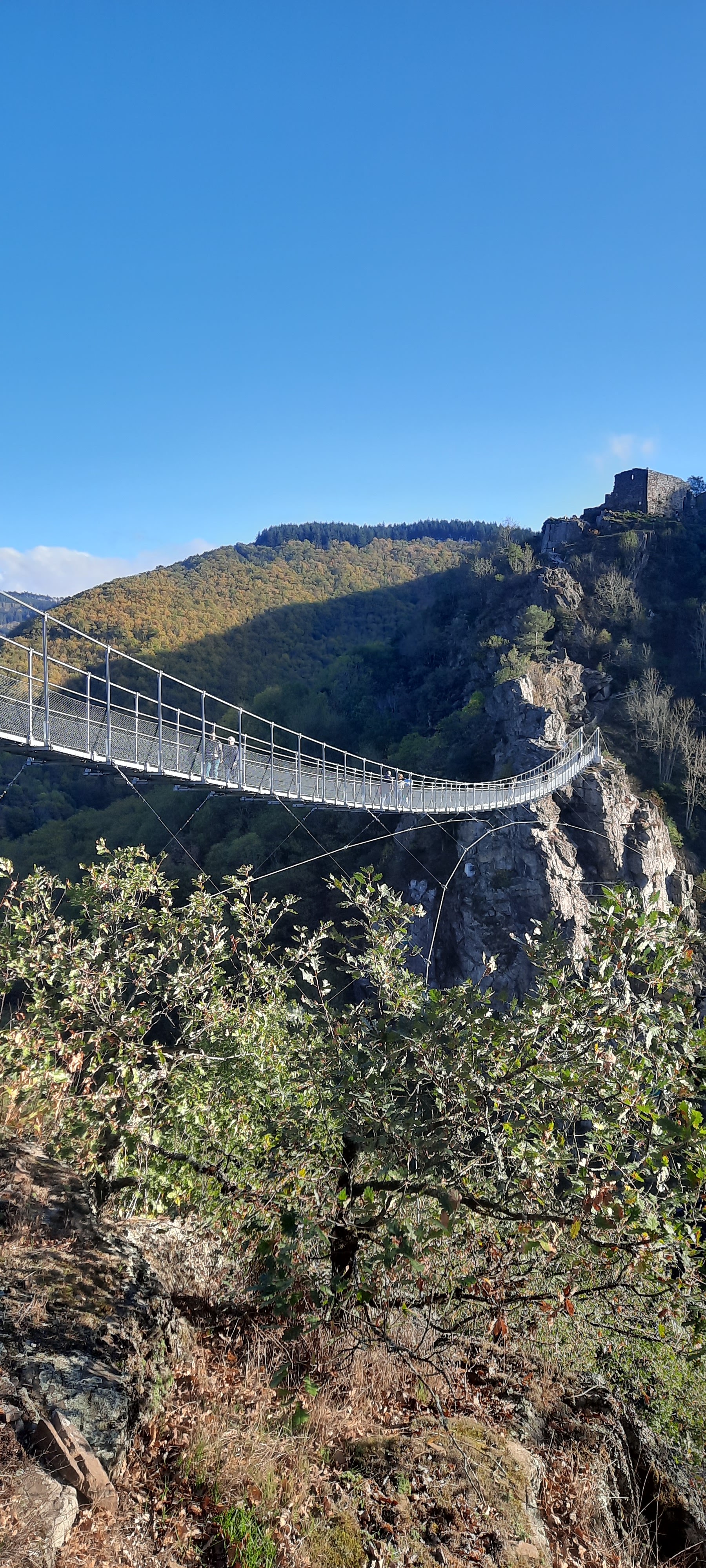 Photo n° 6 de l'avis de Christophe.E fait le 12/11/2022 à 18:39