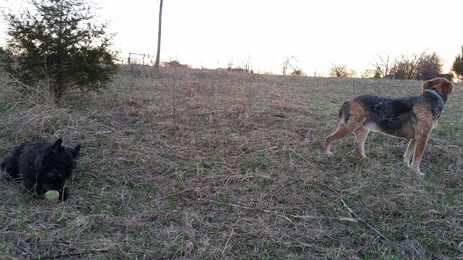 Park «Fox River Bluff west», reviews and photos, 5N753 State Rte 31, St Charles, IL 60175, USA