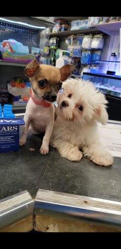 Pet Store «Fish Bowl Aquarium & Pet Mart», reviews and photos, 725 Providence St, West Warwick, RI 02893, USA