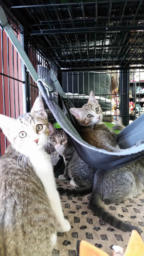 Pet Store «Pet Valu», reviews and photos, 63 Eastern Blvd N, Hagerstown, MD 21740, USA