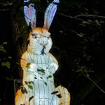 Photo n° 5 de l'avis de Béatrice.O fait le 09/11/2023 à 20:04 pour Wow Safari Peaugres à Peaugres