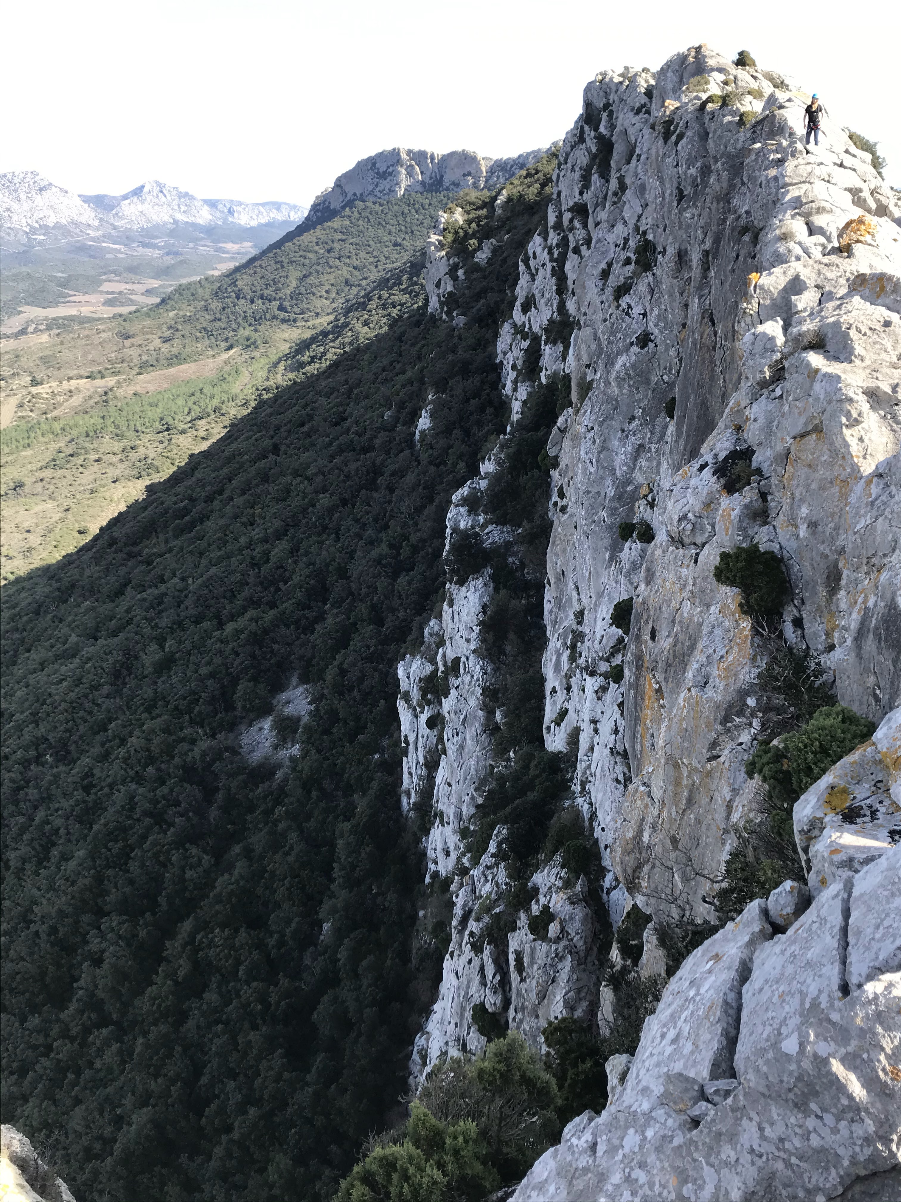 Photo n° 3 de l'avis de Henry.a fait le 09/03/2021 à 20:15