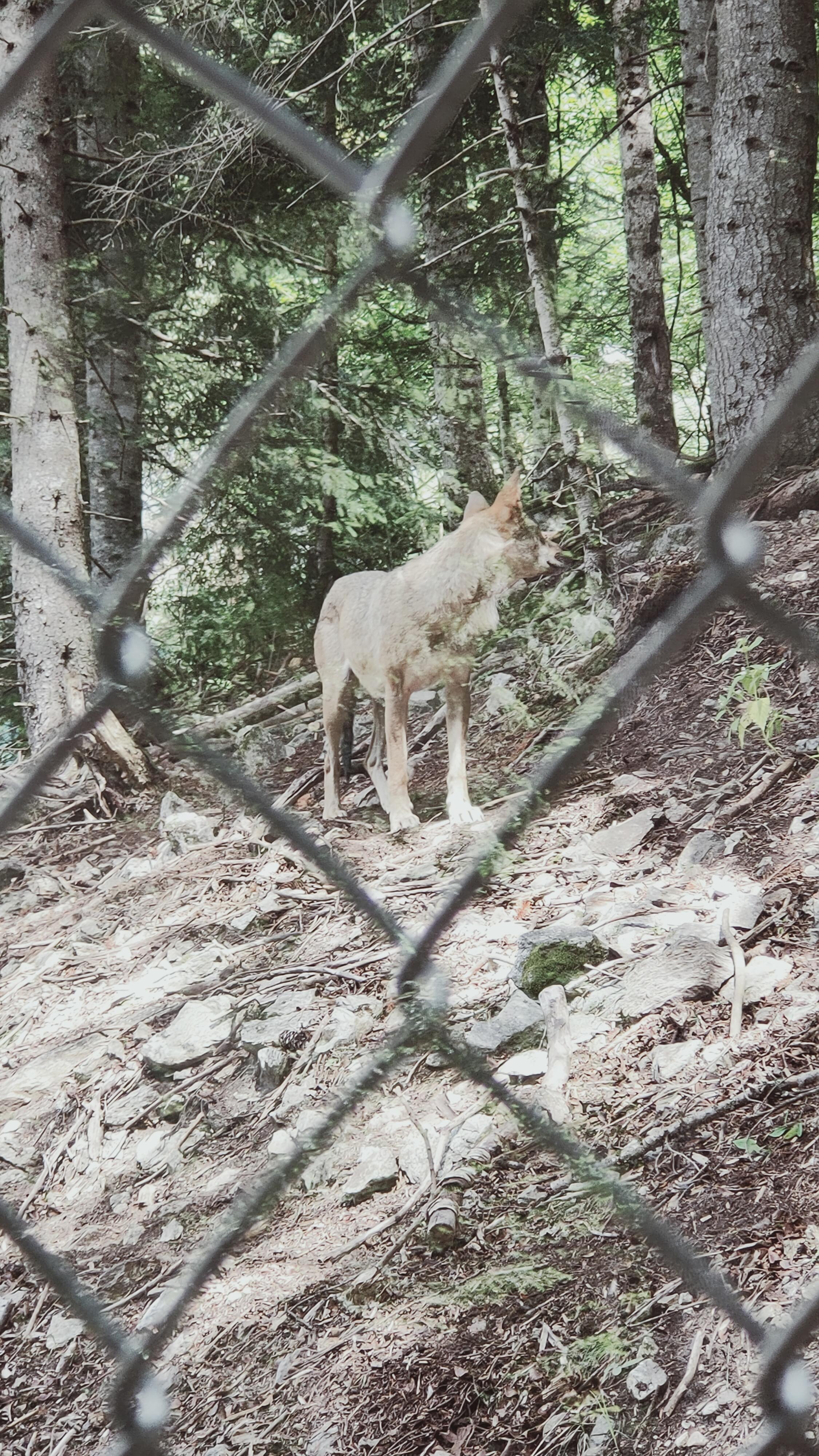 Photo n° 6 de l'avis de Christelle. fait le 05/08/2021 à 14:08