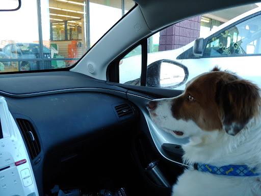 Pet Supply Store «Pet Supplies Plus», reviews and photos, 4405 Milestrip Rd, Blasdell, NY 14219, USA