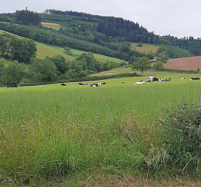 centre technique agricole à Lyon