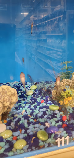 Pet Supply Store «PetSmart», reviews and photos, 976 IL-59, Aurora, IL 60504, USA