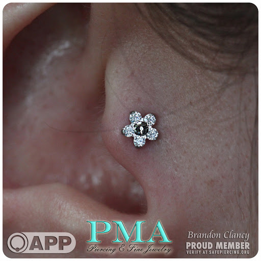 Body Piercing Shop «Wasted Youth Tattoo & PMA Piercing», reviews and photos, 1335 Lakeside Dr #1, Romeoville, IL 60446, USA