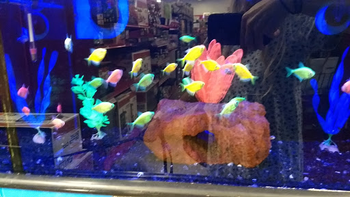 Pet Supply Store «Petco Animal Supplies», reviews and photos, 3731 Gateway Dr, Eau Claire, WI 54701, USA