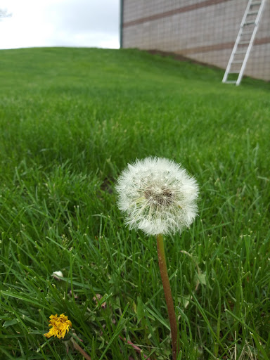 Park «Dr. James A. Dillon Park», reviews and photos, 6001 Edenshall Ln, Noblesville, IN 46060, USA