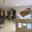 It's U Mo Chúisle Hair Salon