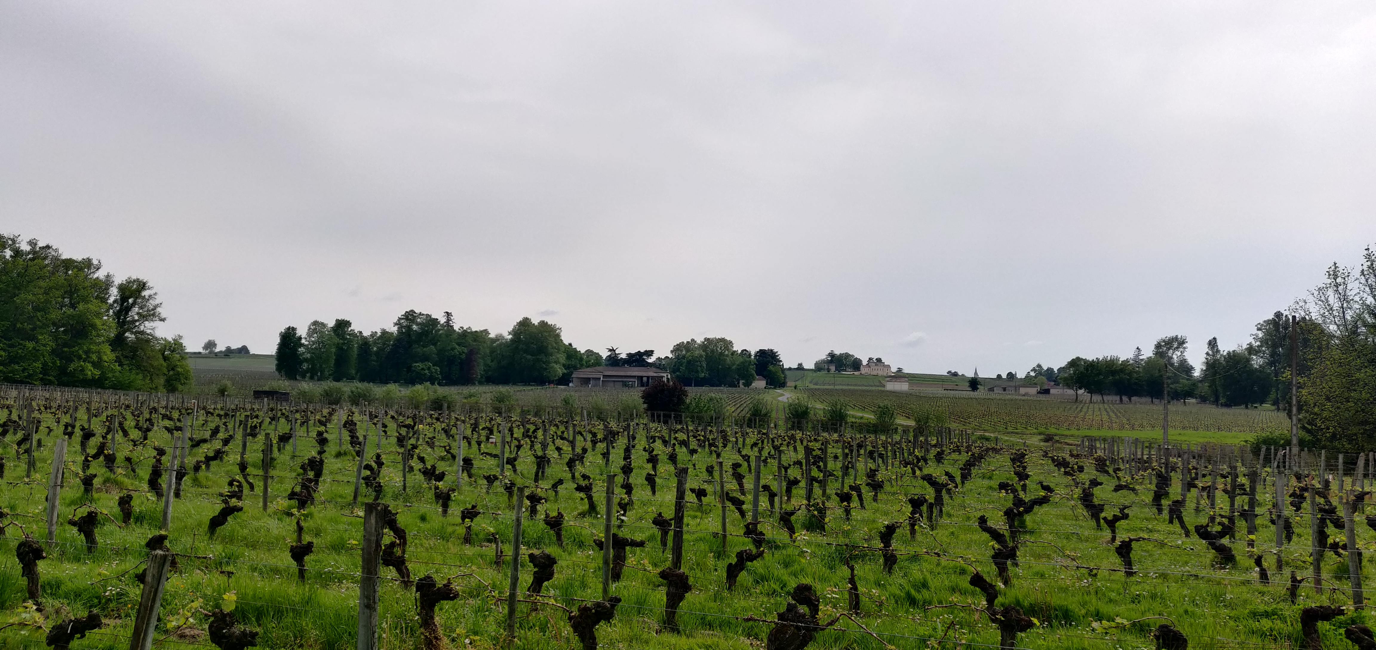Photo n° 4 de l'avis de Zirun.a fait le 28/04/2022 à 12:08