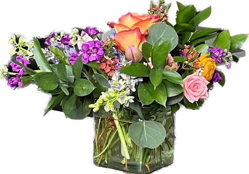 Florist «Providence Florist - Blooming Blossoms», reviews and photos, 780 Hope St, Providence, RI 02906, USA