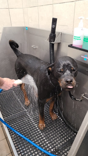 Pet Supply Store «Pet Supplies Plus», reviews and photos, 1137 Annapolis Rd, Odenton, MD 21113, USA