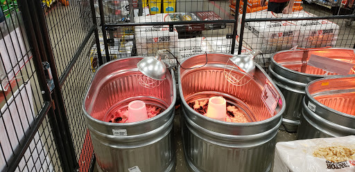 Home Improvement Store «Tractor Supply Co.», reviews and photos, 1530 S Main St, Boerne, TX 78006, USA