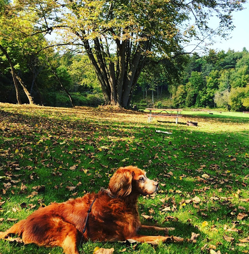 Campground «Pine Ridge Park», reviews and photos, 212 NY-122, Constable, NY 12926, USA