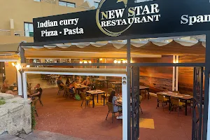 New Star Indian tandoori restaurant image