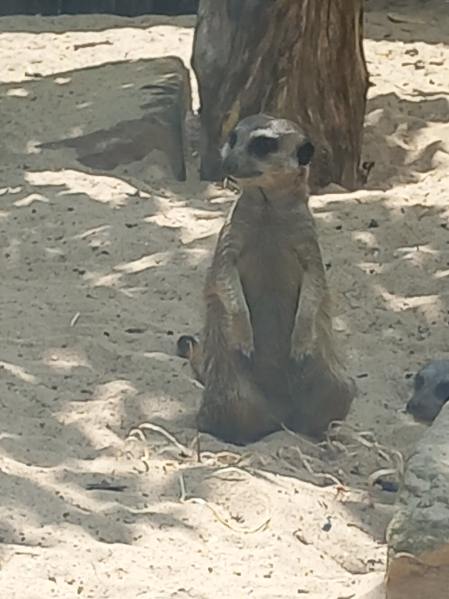Photo n° 1 de l'avis de Laurent.e fait le 11/08/2019 à 04:00