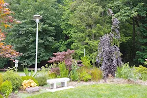 Samarkand Rose Garden image