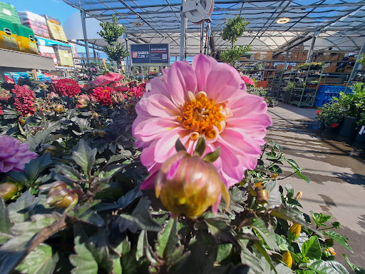 Home Improvement Store «The Home Depot», reviews and photos, 2580 Notre Dame Blvd, Chico, CA 95928, USA