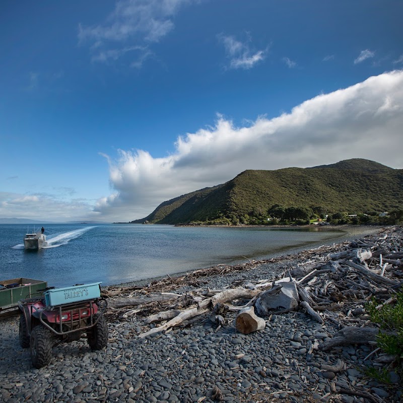 Kapiti Island Nature Tours