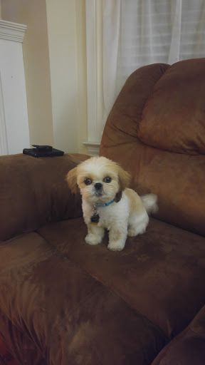 Pet Supply Store «PetSmart», reviews and photos, 620 N West End Blvd, Quakertown, PA 18951, USA