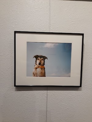 basalt Collective Fine Art Gallery - photo 12