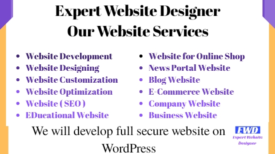 Expert Website Designer
