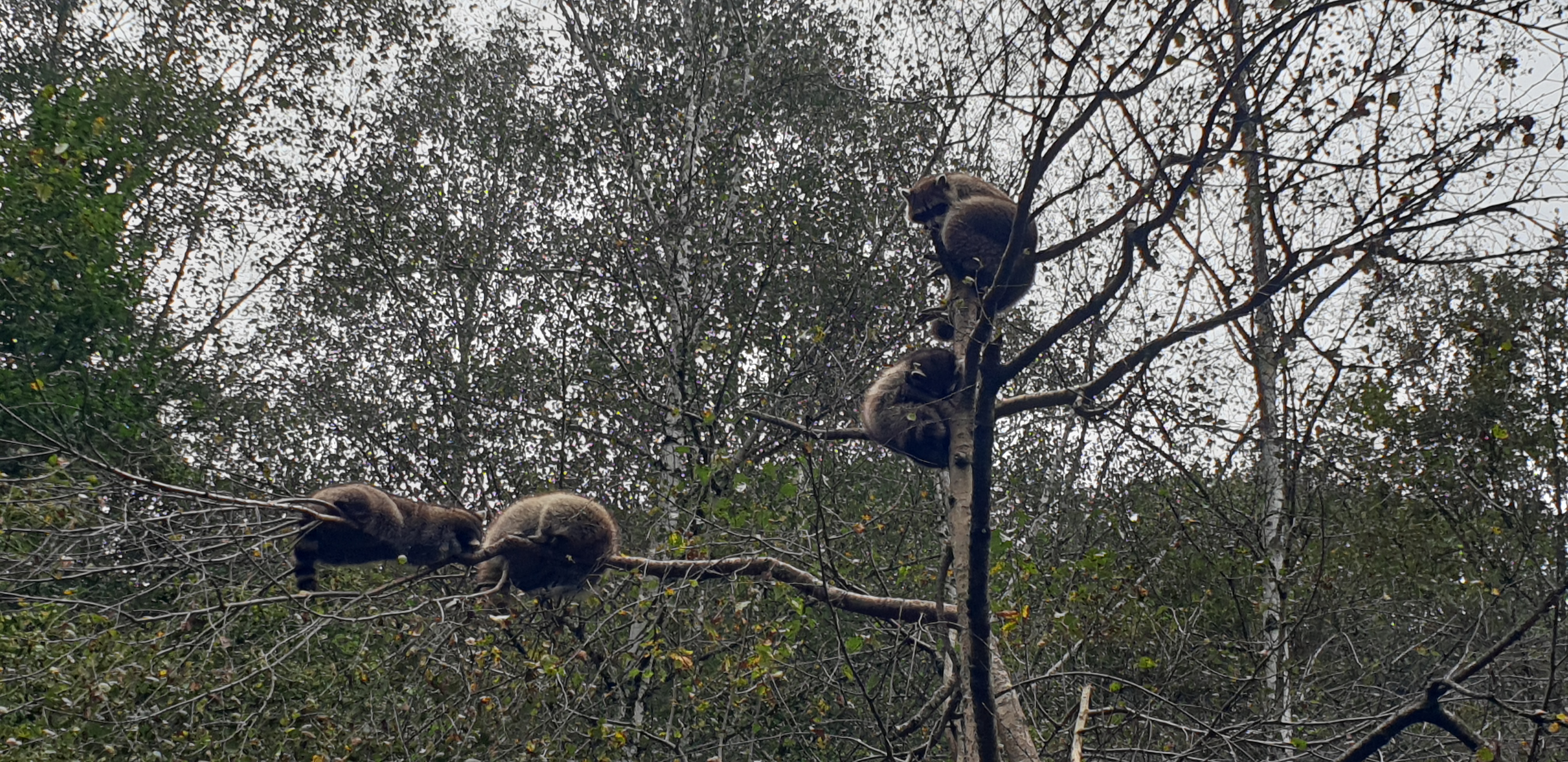 Photo n° 6 de l'avis de Maïwenn.E fait le 01/11/2023 à 12:52