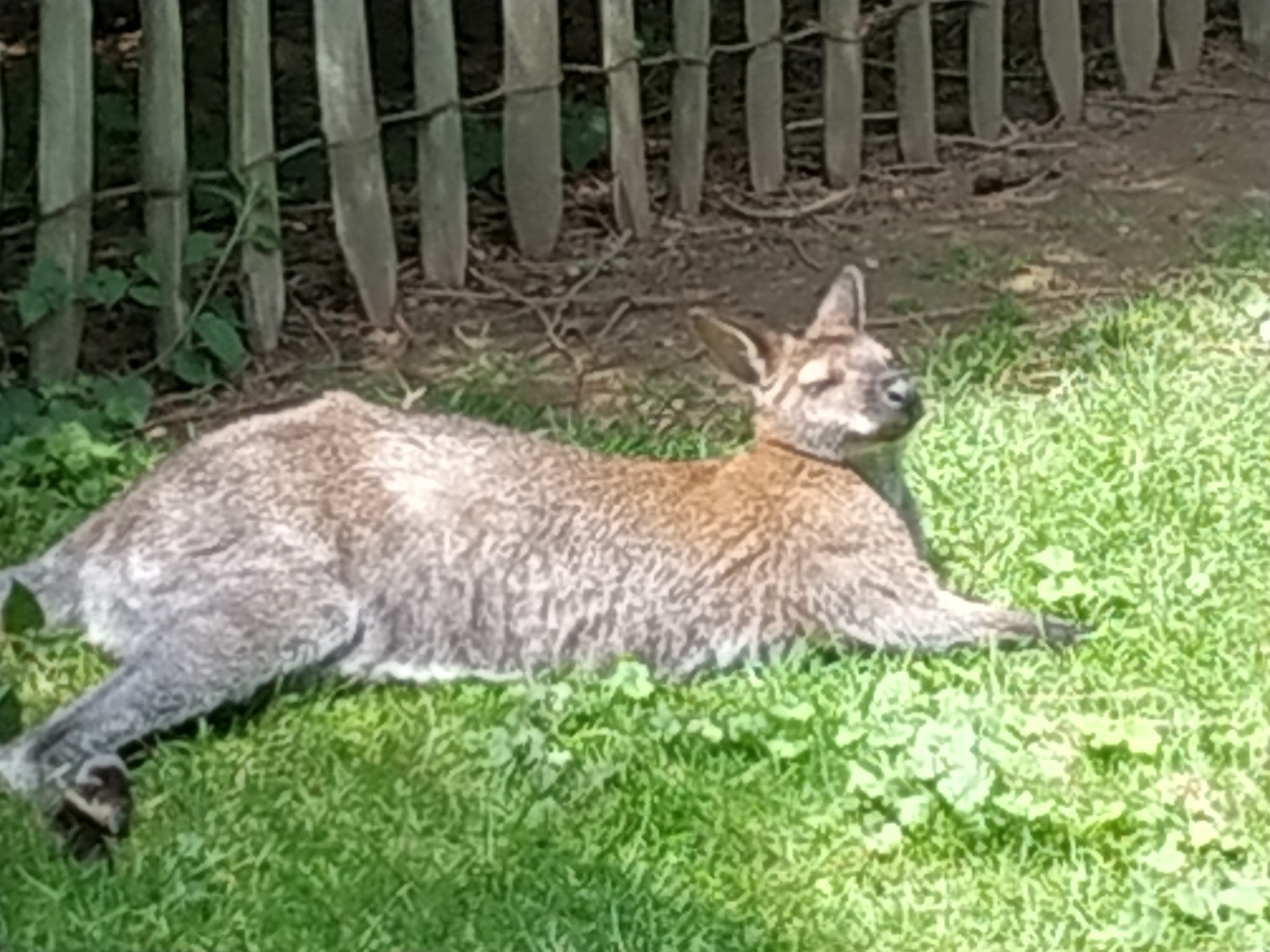 Photo n° 1 de l'avis de Lucette.A fait le 26/07/2023 à 15:32