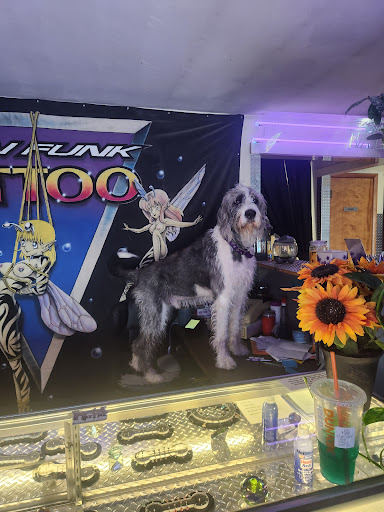 Explore country music tattoos ideas, creative tattoo ideas in Cicero, available at Skin Funk Tattoo