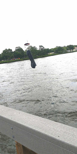 Park «R E Olds Park», reviews and photos, 107 Shore Dr W, Oldsmar, FL 34677, USA