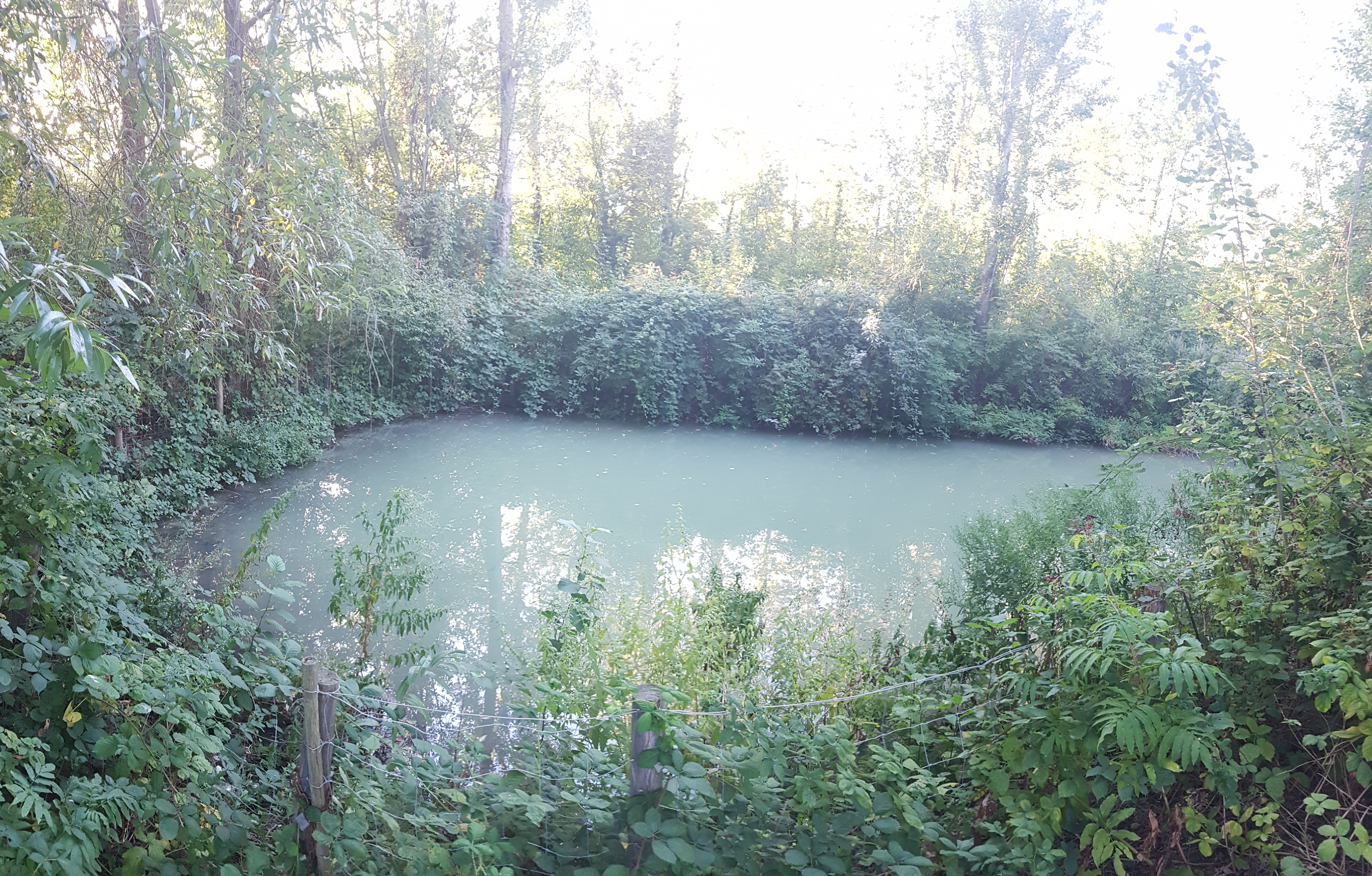 Photo n° 21 de l'avis de Sanjy.u fait le 20/09/2019 à 13:45