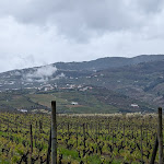 Photo n°5 de l'avis de Louise.a fait le 28/03/2024 à 12:47 sur le  Quinta da Pacheca à Lamego