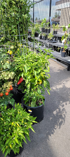 Animal Feed Store «Wilco Farm Store», reviews and photos, 815 W Main St, Battle Ground, WA 98604, USA