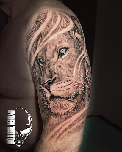 Ayden Tattoo (Tatuaje, Micropigmentación y piercing)