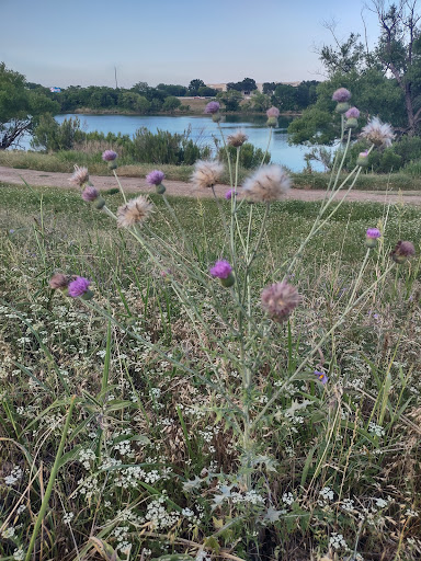 Public Golf Course «Riverside Golf Club», reviews and photos, 3000 Riverside Pkwy, Grand Prairie, TX 75050, USA