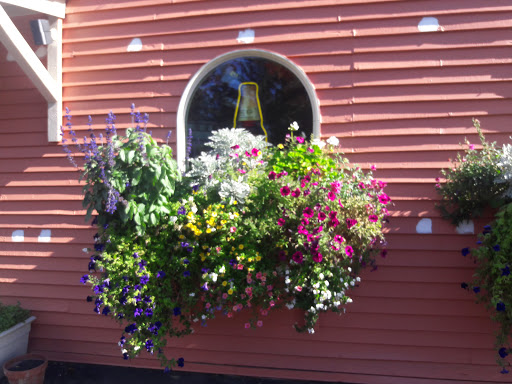 Grocery Store «Albertsons», reviews and photos, 11012 Canyon Rd E, Puyallup, WA 98373, USA