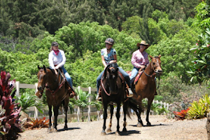 Makani Olu Ranch - Central Maui's Horseback riding experience image
