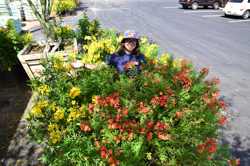 Garden Center «Moon Valley Nurseries West Valley / Avondale», reviews and photos, 11320 W Indian School Rd, Avondale, AZ 85323, USA