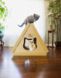 Petique, Inc - Photo 4 - Car repair in Ontario, CA, Fontana