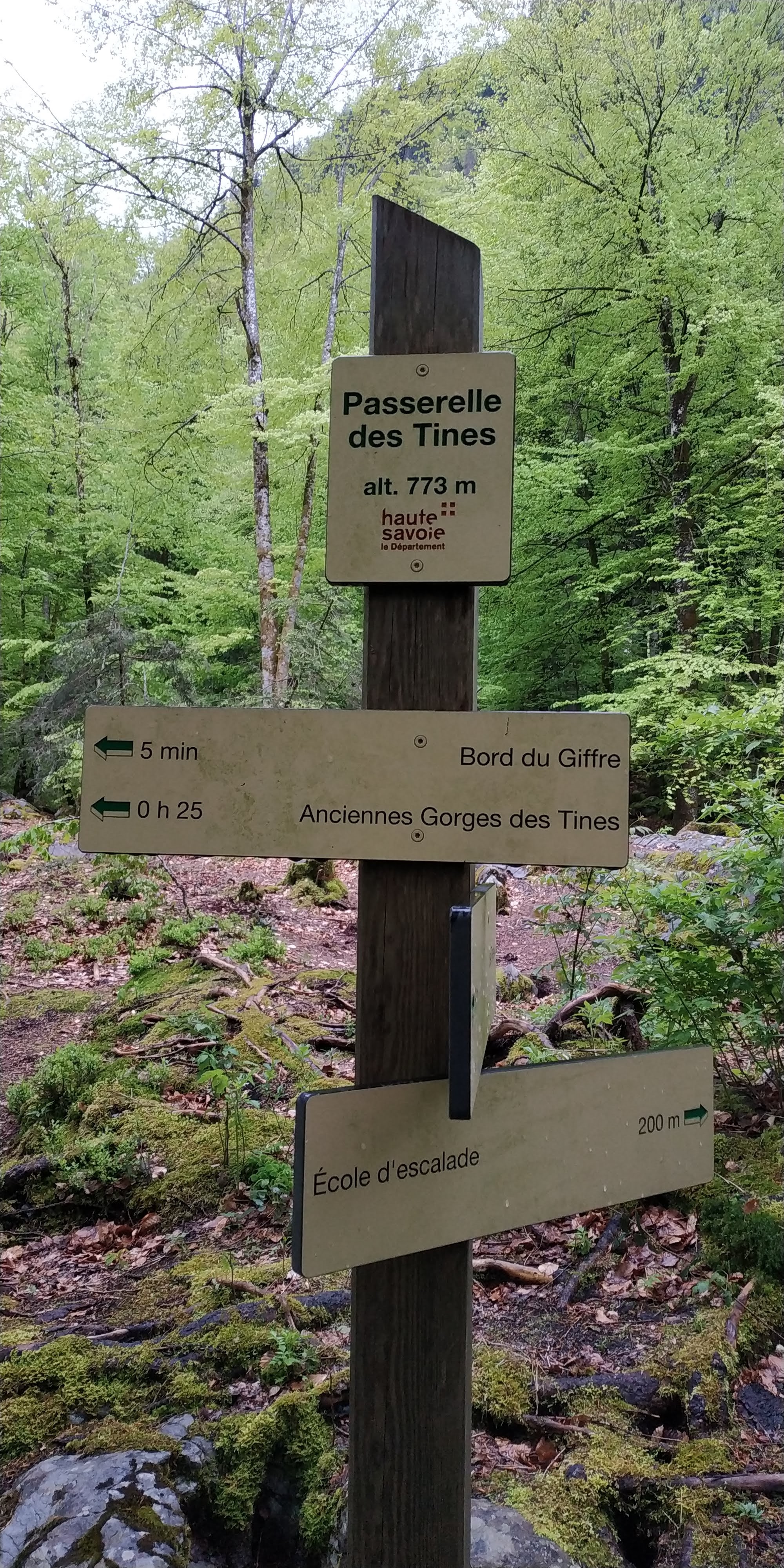 Photo n° 7 de l'avis de Marcel.a fait le 25/05/2021 à 16:05