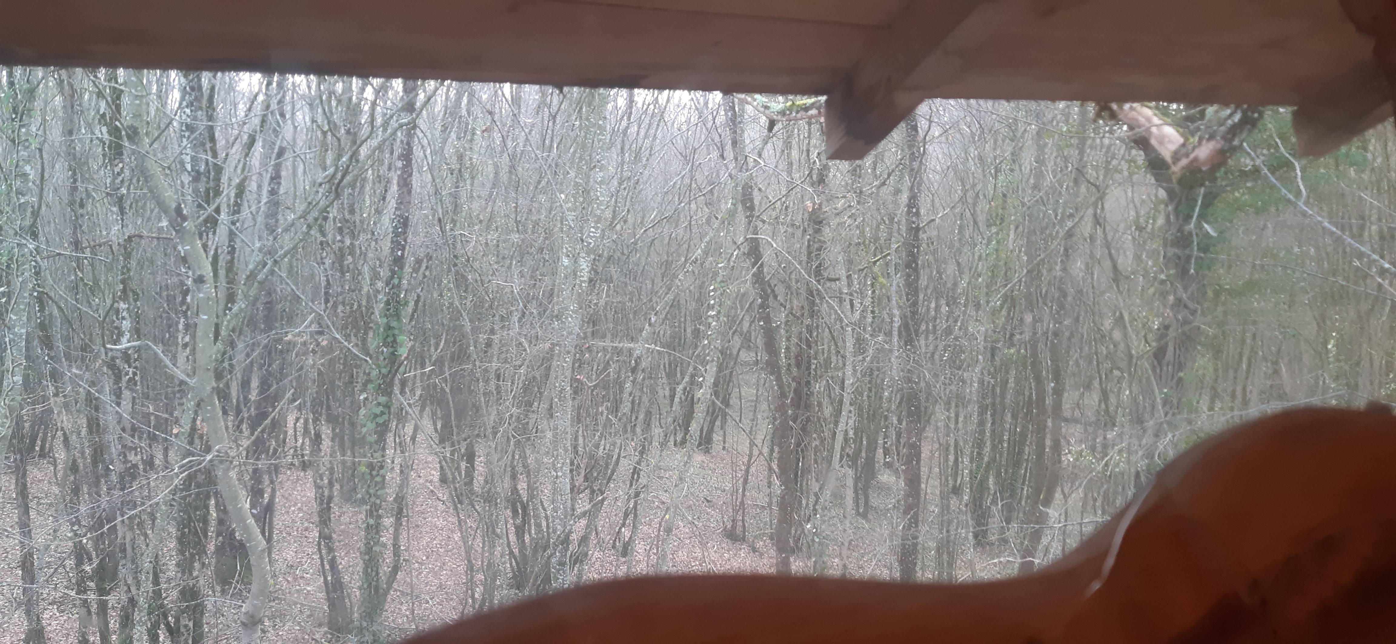 Photo n° 4 de l'avis de Ludovic.i fait le 25/02/2022 à 15:59
