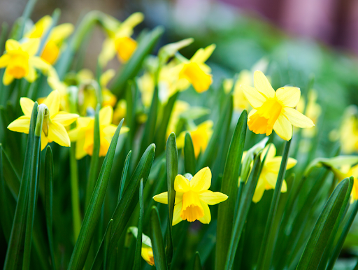 Florist «BOUQUETS», reviews and photos, 1525 15th St, Denver, CO 80202, USA