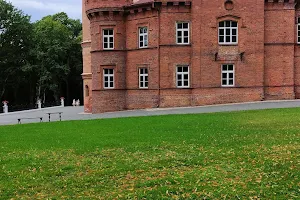 Raudonė Castle image