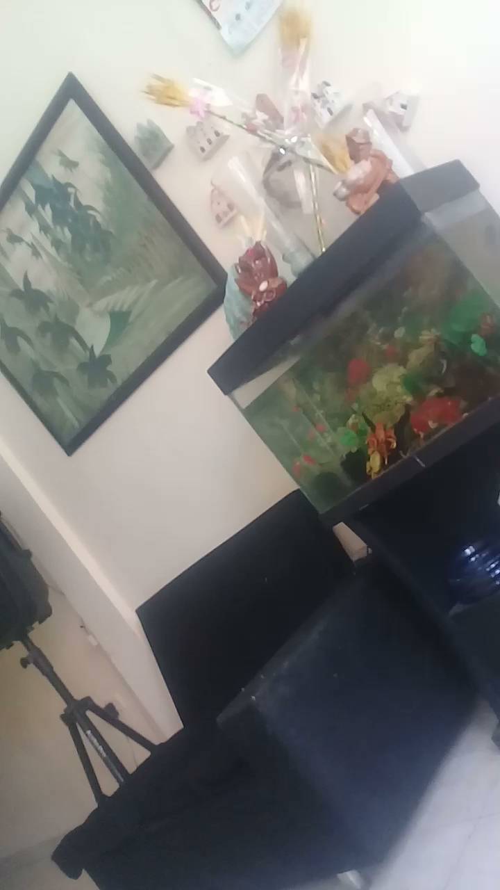 Tienda De Abarrotes Nidia Cruz