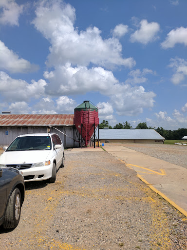 Farm «Warbington Farms (U-Pick Strawberries)», reviews and photos, 5555 Crow Rd, Cumming, GA 30041, USA